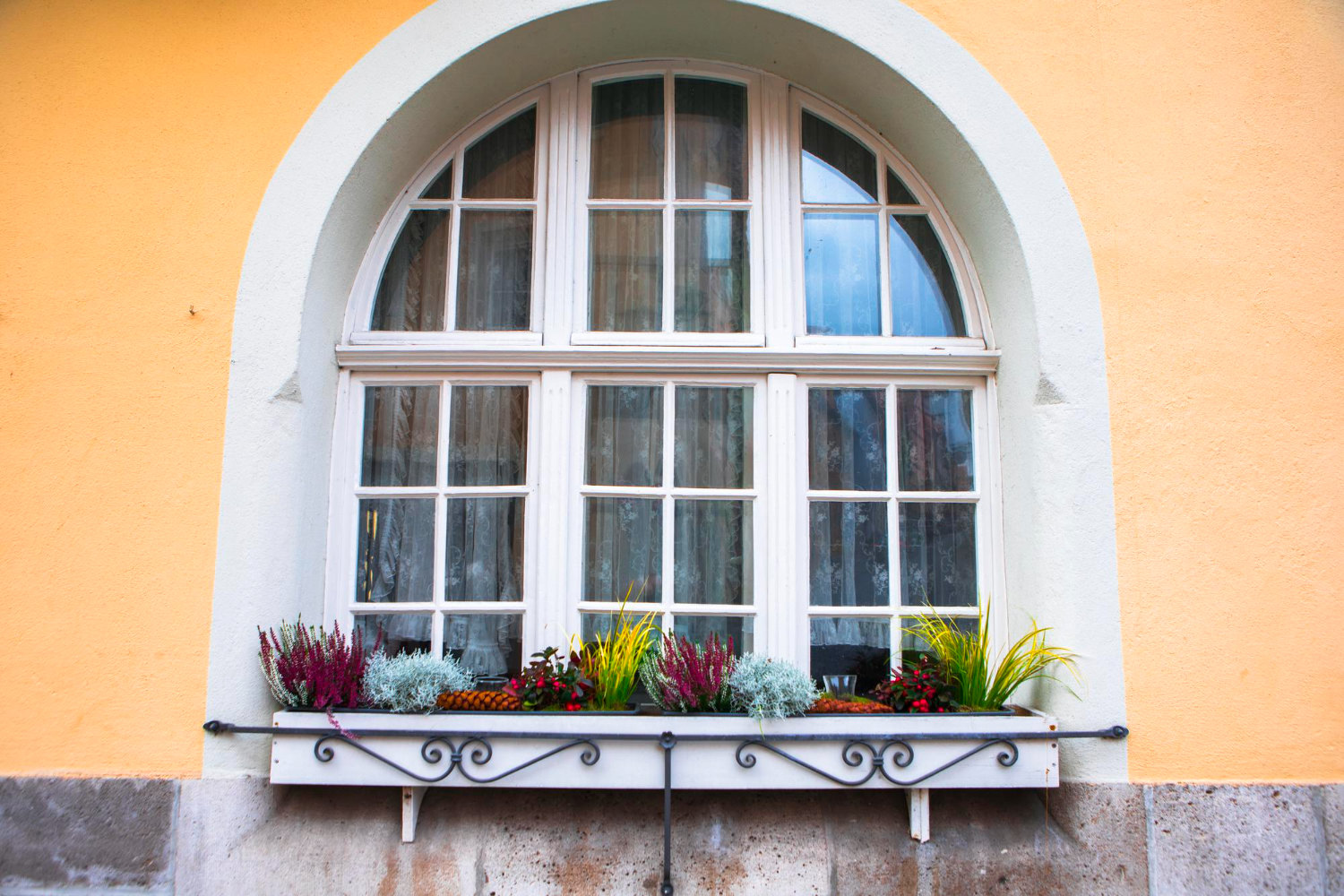 Fensterreinigung - Holzrahmen