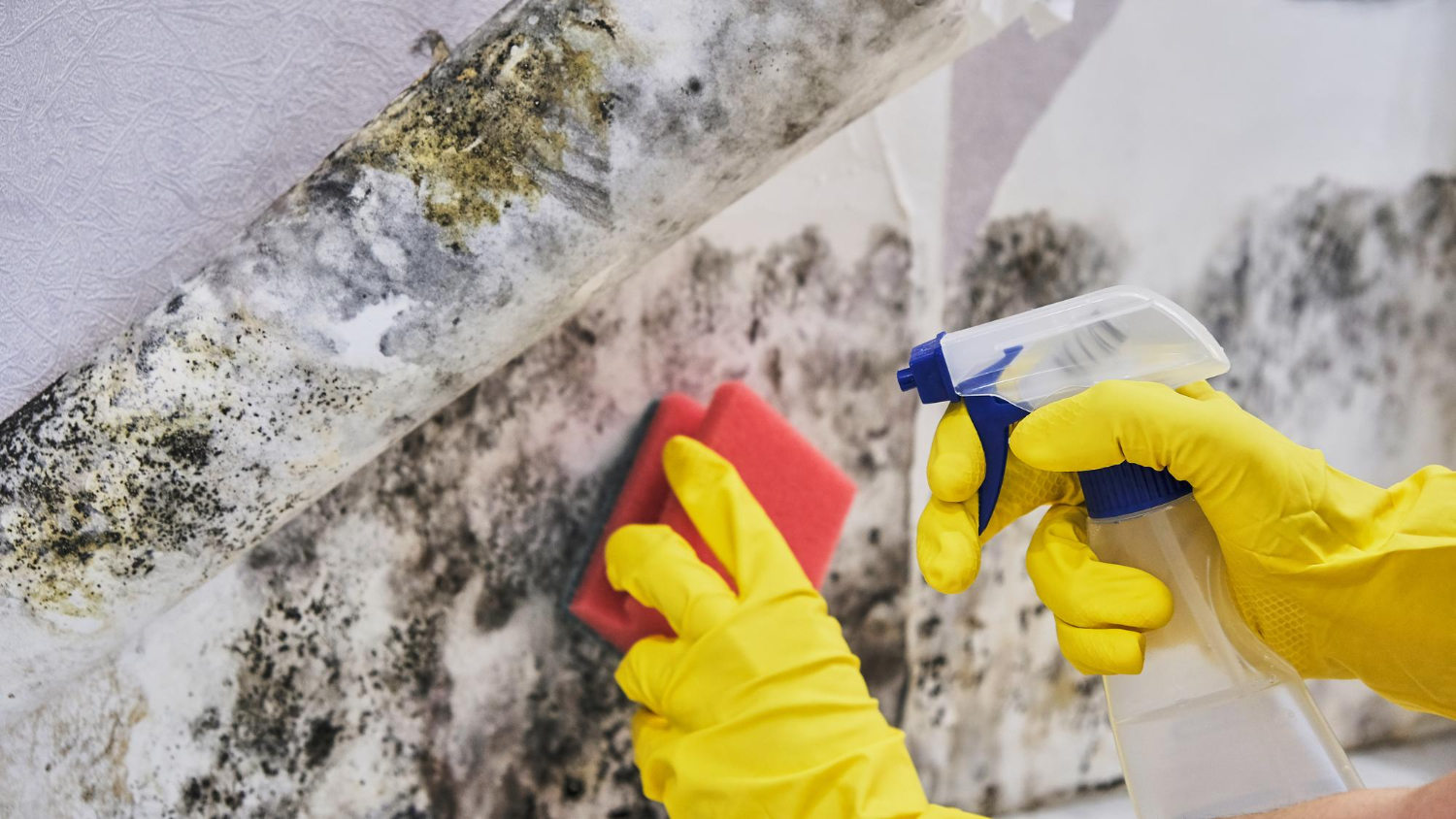 gebaudereinigung-unregelmaessige-planung Gebäudereinigung - Fehlende Planung
